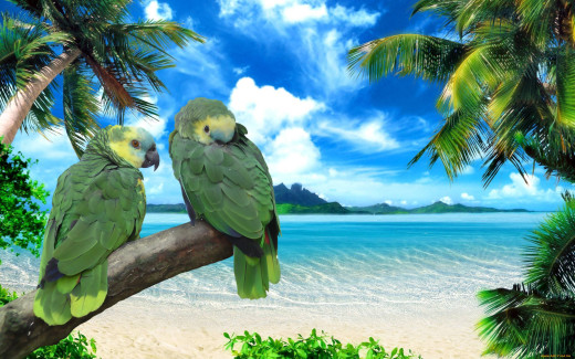 586231 (a): :2560x1600